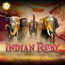 Indian Ruby – Spielbewertung Indian Ruby – Spielbewertung